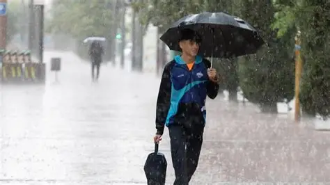 Miércoles 04 de Febrero 2026